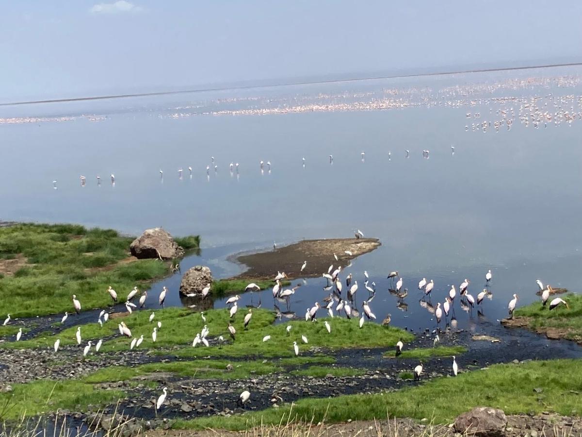 Lake Natron Maasai Guesthouse Mtowabaga Экстерьер фото