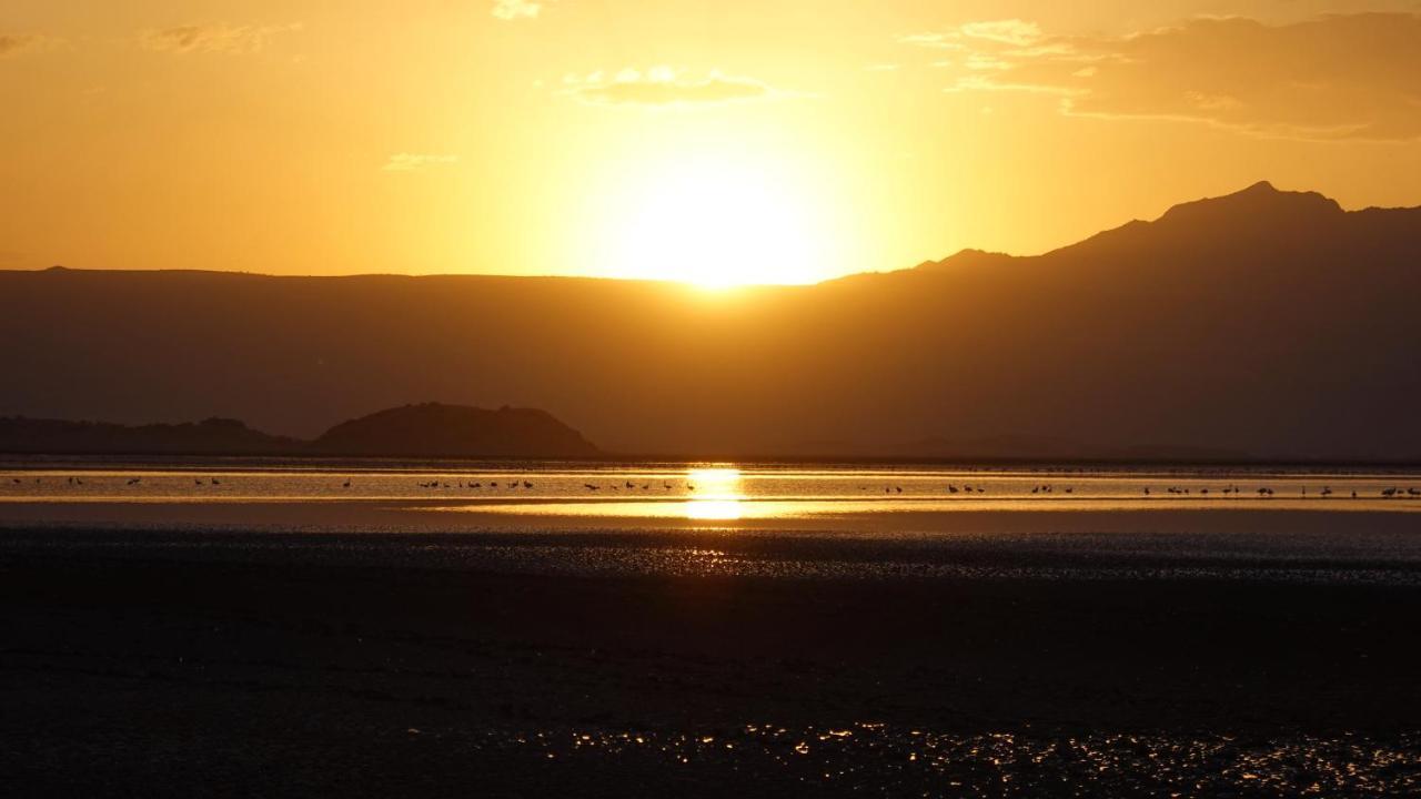 Lake Natron Maasai Guesthouse Mtowabaga Экстерьер фото